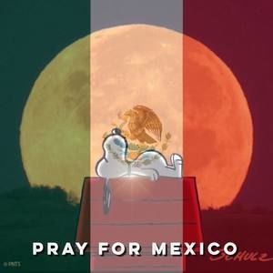 Meet your Posher, Carlos saul